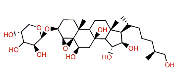 Kurilensoside H